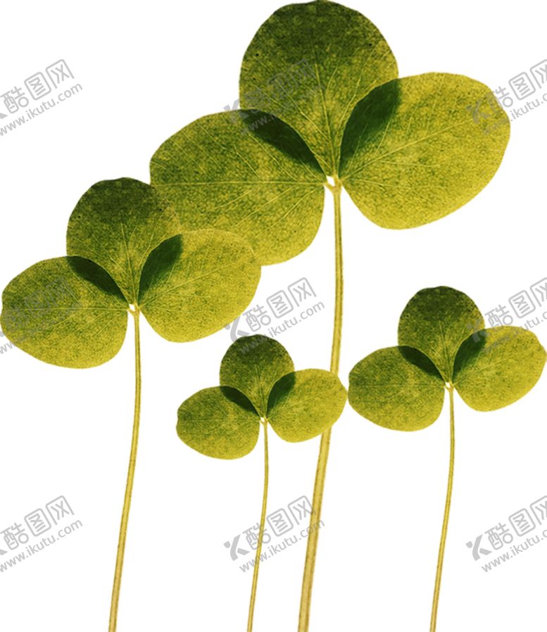 编号：99357507061302294214【酷图网】源文件下载-绿色相框