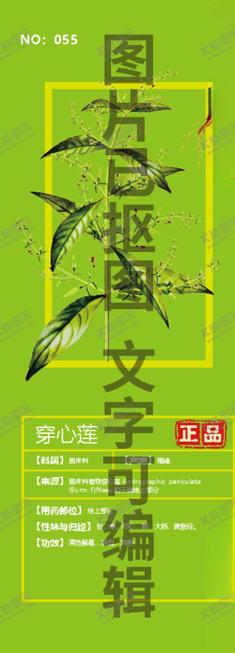编号：15680604210948419018【酷图网】源文件下载-穿心莲