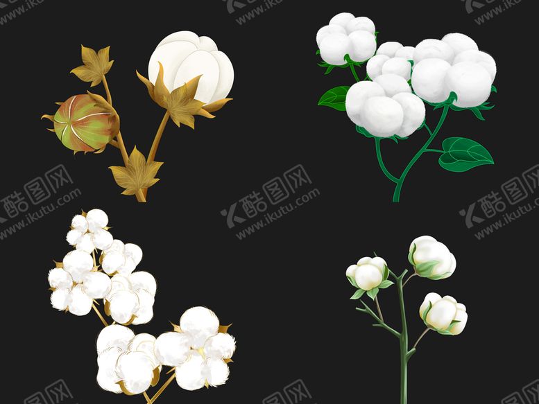 编号：12574609172232511097【酷图网】源文件下载-棉花