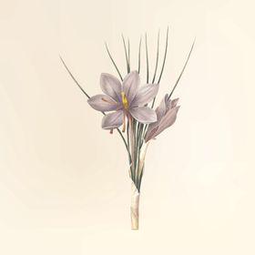 花纹