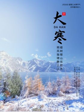 大气简洁大寒节海报