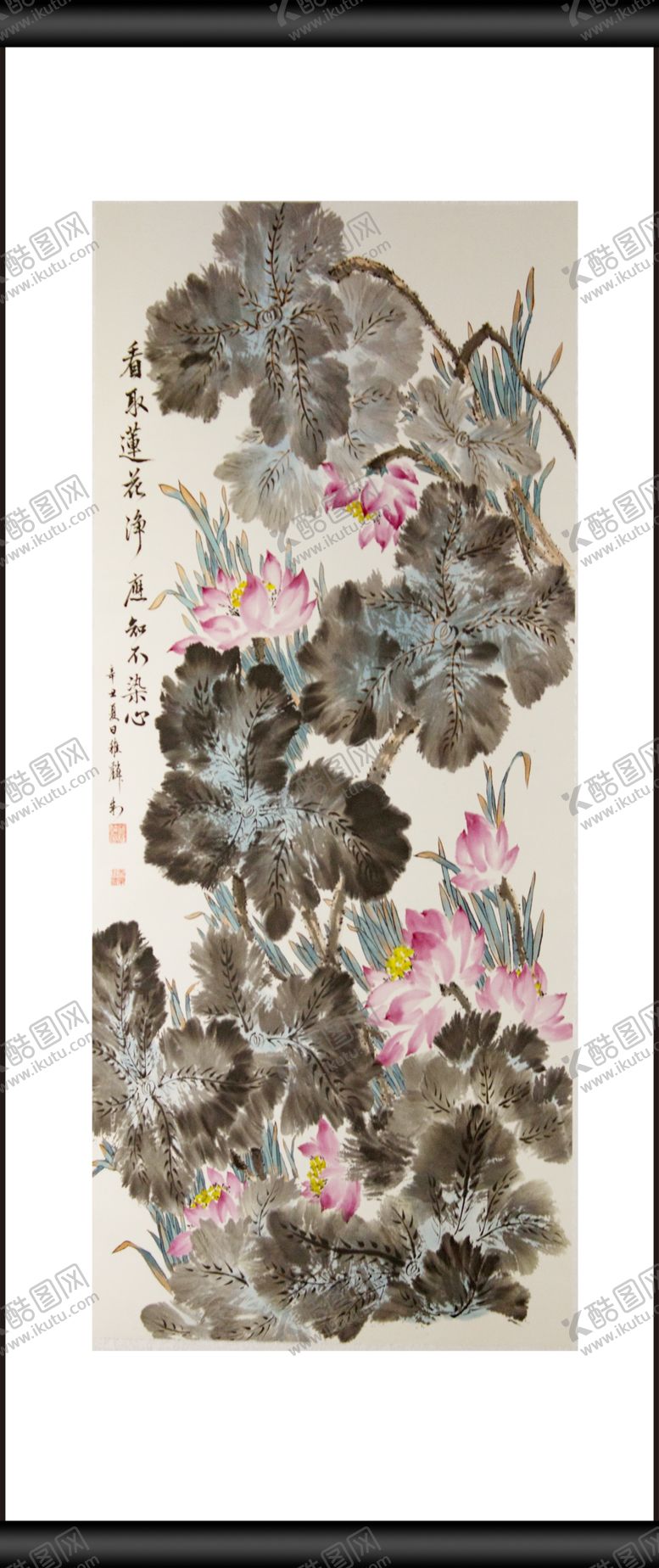 编号：06821909262351279782【酷图网】源文件下载-荷花