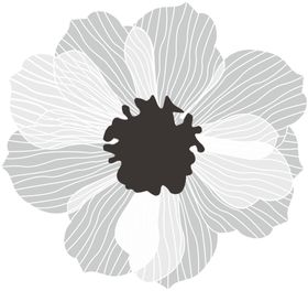 莲花