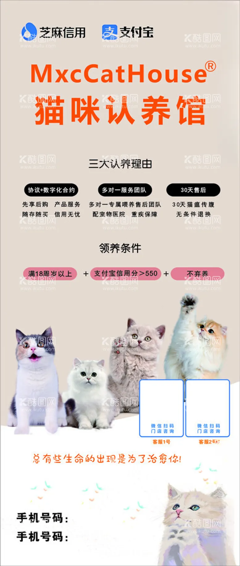 编号：16746201122152099532【酷图网】源文件下载-猫咪认养馆