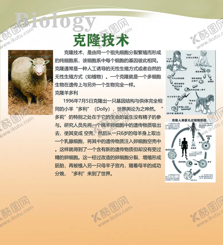 编号：53924109171529389713【酷图网】源文件下载-生物知识展板图片