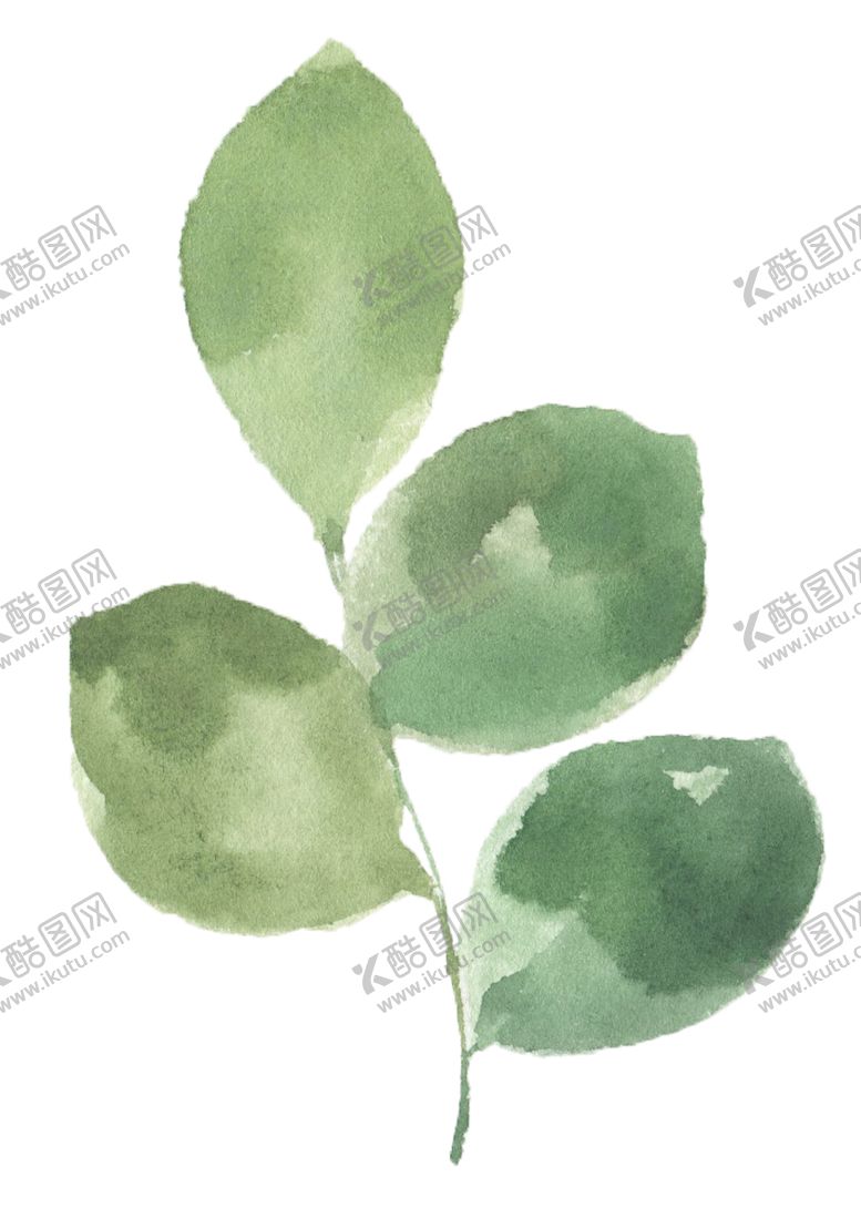 编号：82081809192328537778【酷图网】源文件下载-手绘植物花卉