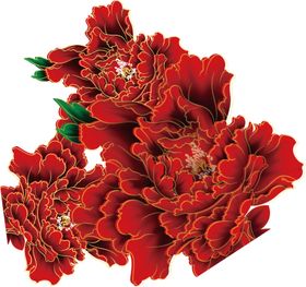 牡丹花