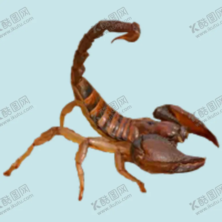 编号：09426309270559131940【酷图网】源文件下载-蝎子