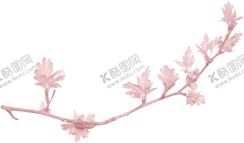 编号：93856702011412118140【酷图网】源文件下载- 手绘粉色樱花免扣素材图片 