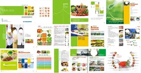 公司社会报告画册宣传册封面