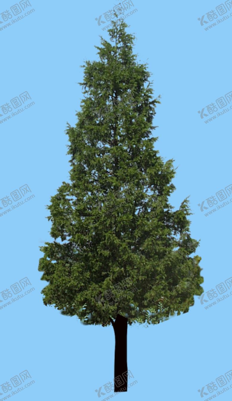 编号：86399810111323013381【酷图网】源文件下载-景观树