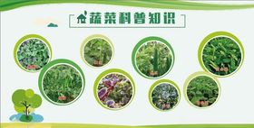 蔬菜科普宣传画面