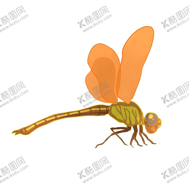 编号：31070107071429202611【酷图网】源文件下载-蜻蜓