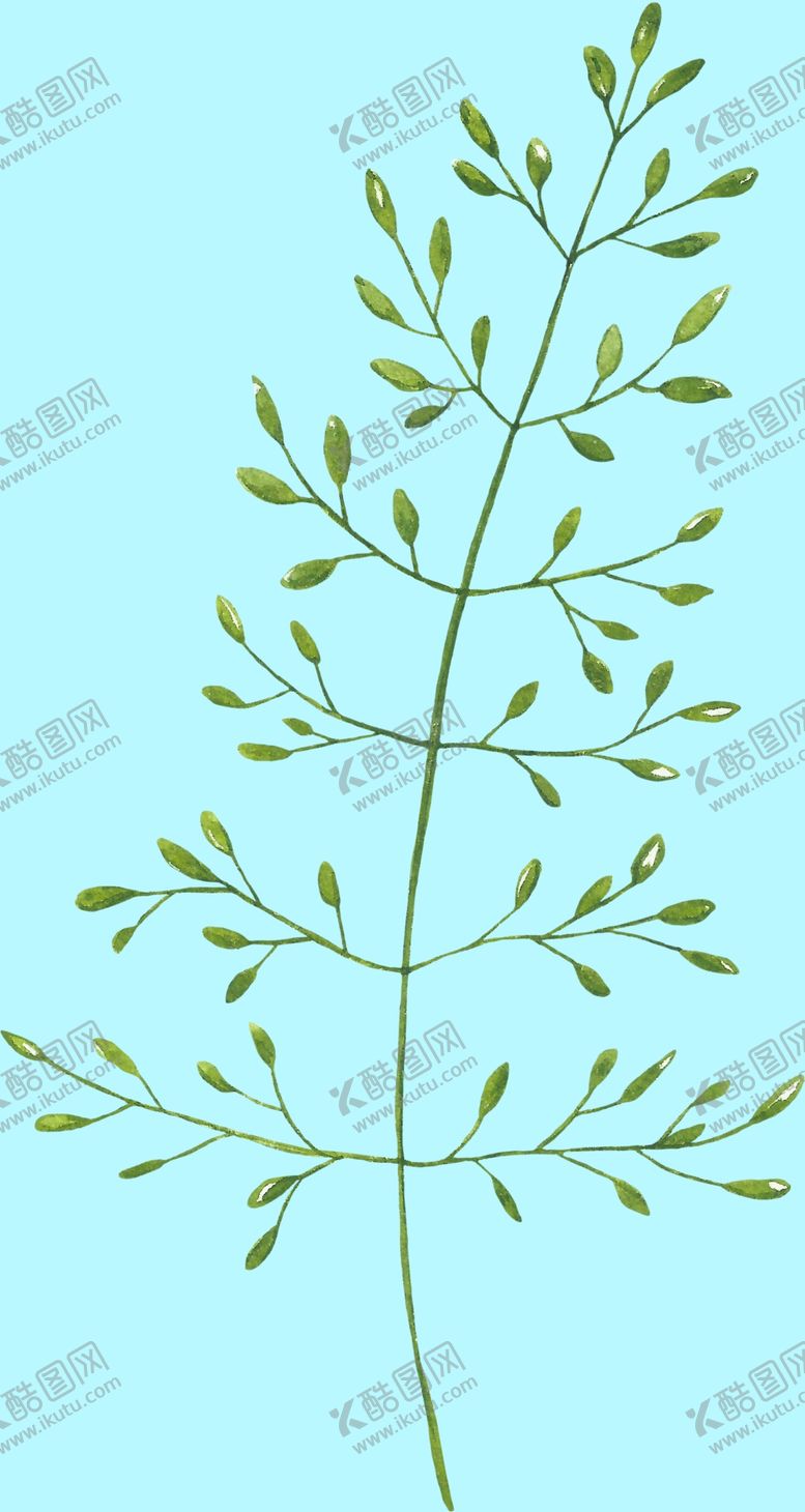 编号：11040906241033316304【酷图网】源文件下载-花卉树叶