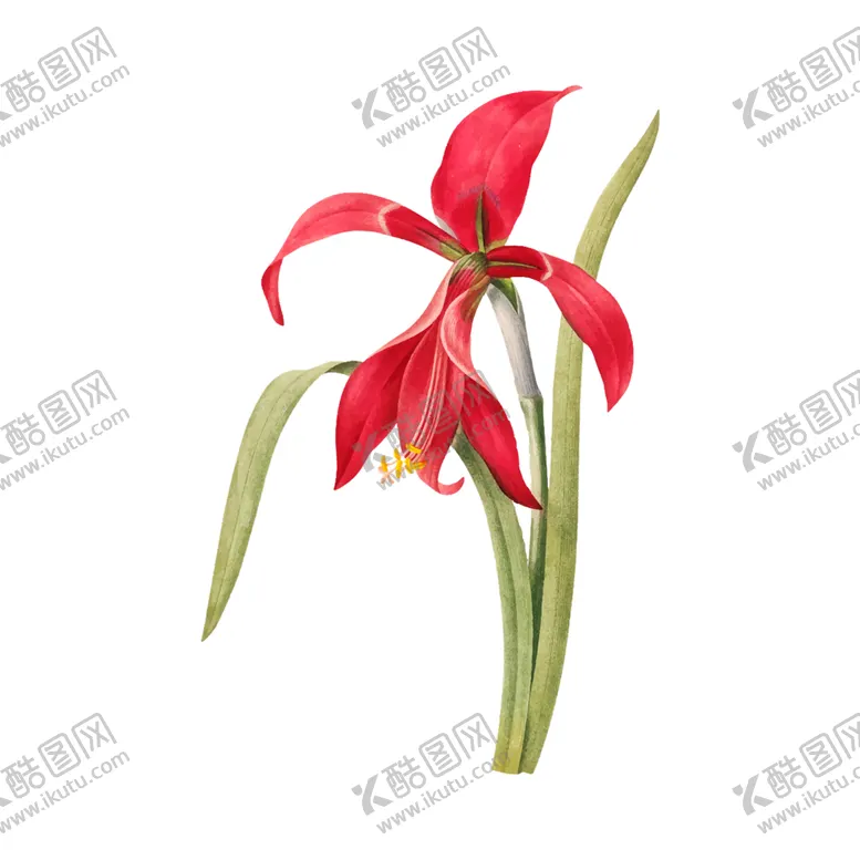 编号：86049806271927449333【酷图网】源文件下载-花卉插图