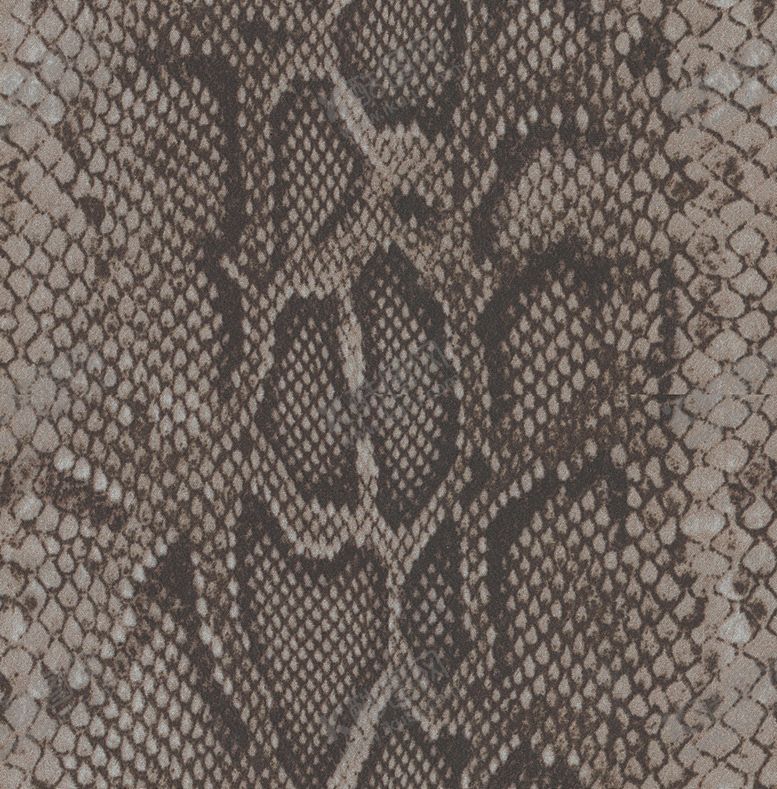 编号：56846610281538361460【酷图网】源文件下载-豹纹