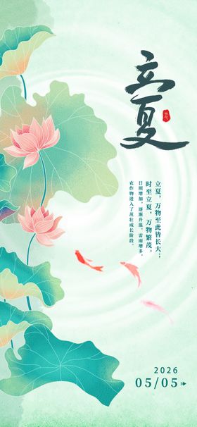 夏日荷花锦鲤诗意画面