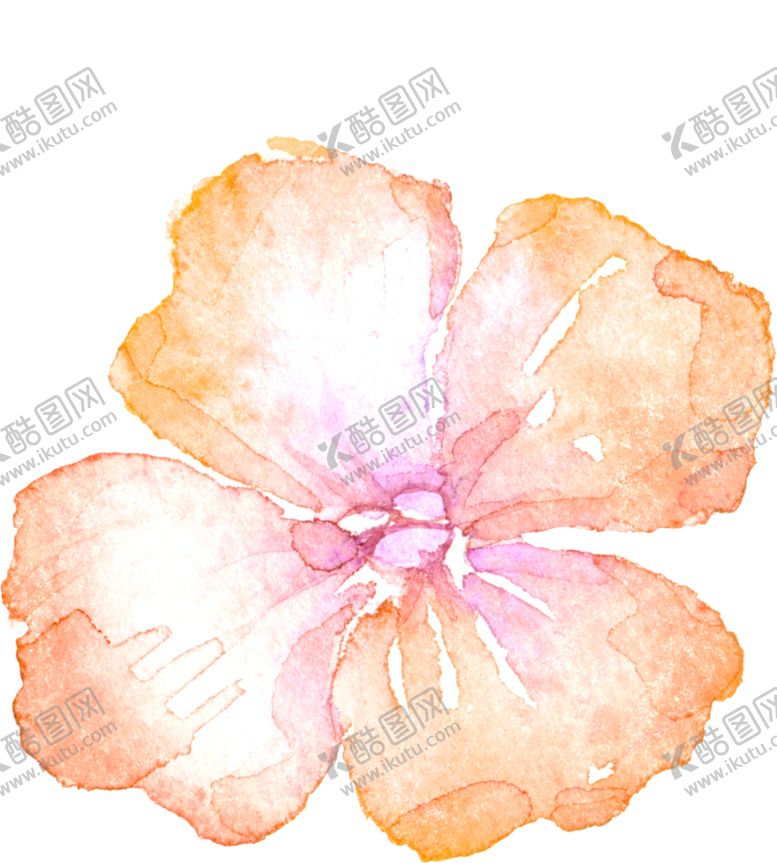 编号：78673807040444313951【酷图网】源文件下载-水彩手绘花卉花朵植物