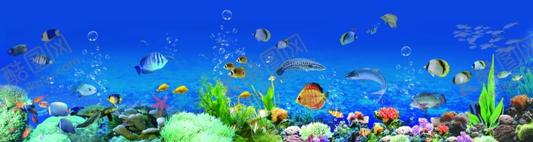 编号：73966109191827132384【酷图网】源文件下载-海底世界