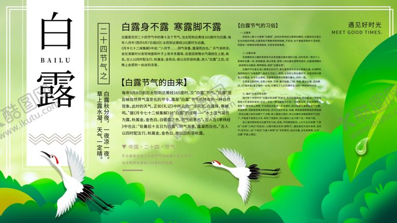 编号：60220309131100433013【酷图网】源文件下载-白露海报