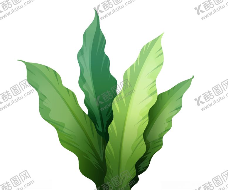 编号：11141110290103176414【酷图网】源文件下载-手绘叶子