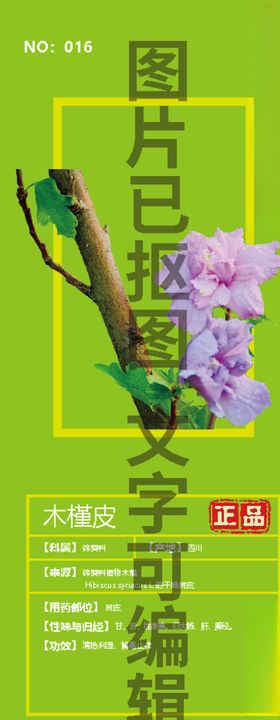 木槿皮
