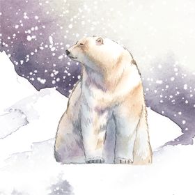 野生动物插图