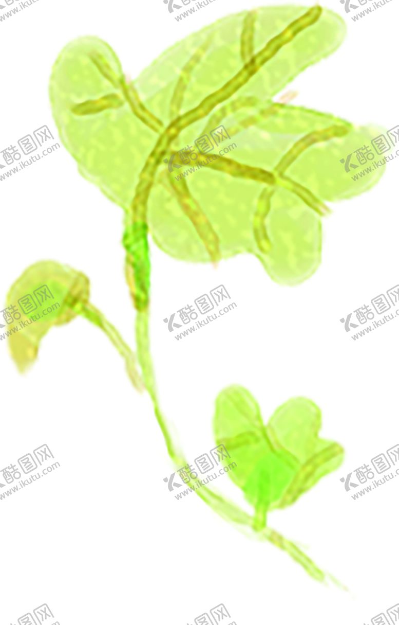 编号：69494110310841064459【酷图网】源文件下载-绿色装饰