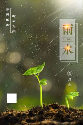 雨水节气简约海报