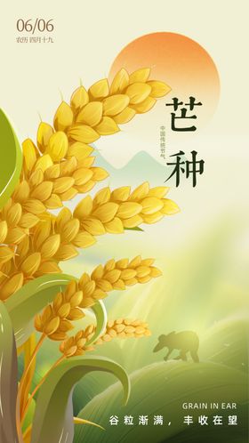 芒种节气海报