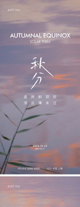 秋分芦苇景色海报