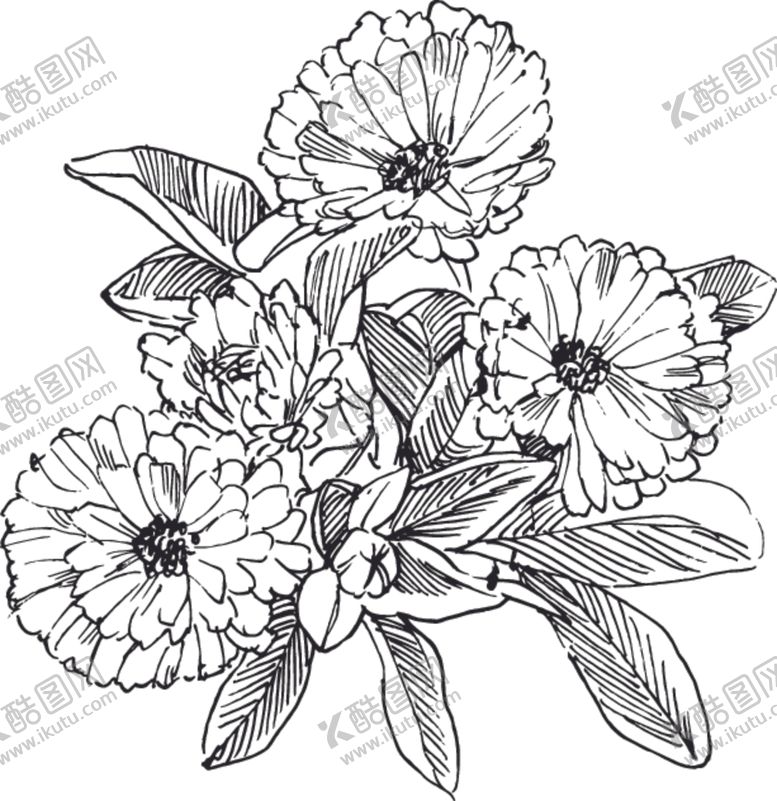 编号：46169309301924073440【酷图网】源文件下载-素描鲜花