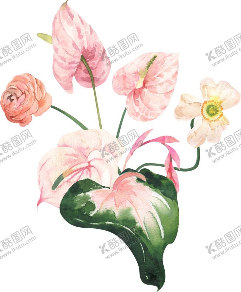 编号：20080412031931186054【酷图网】源文件下载-花素材