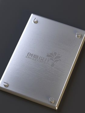 不锈钢立体LOGO样机