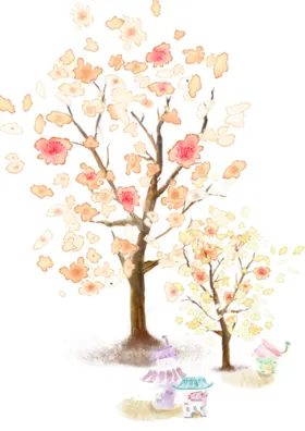 花卉