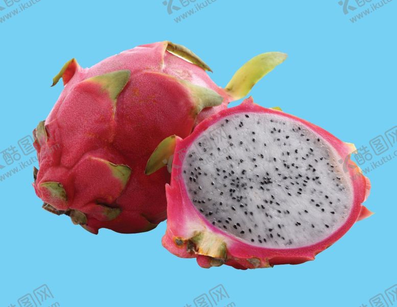 编号：60683809280207545851【酷图网】源文件下载-火龙果