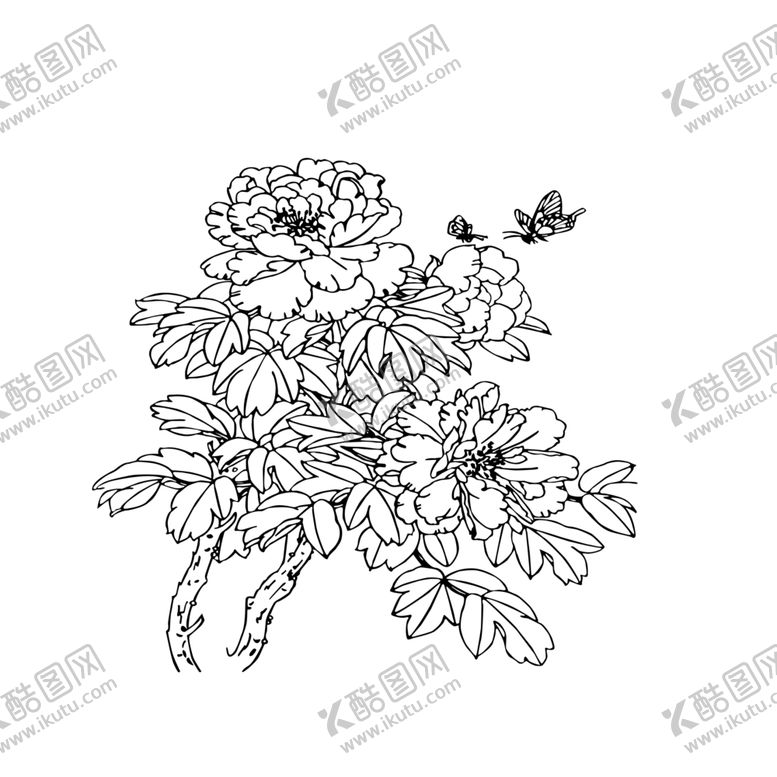 编号：82088204091356429391【酷图网】源文件下载-牡丹花手绘