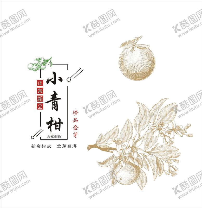 编号：26666912061512311308【酷图网】源文件下载-小青柑 矢量素材 烫金 线描