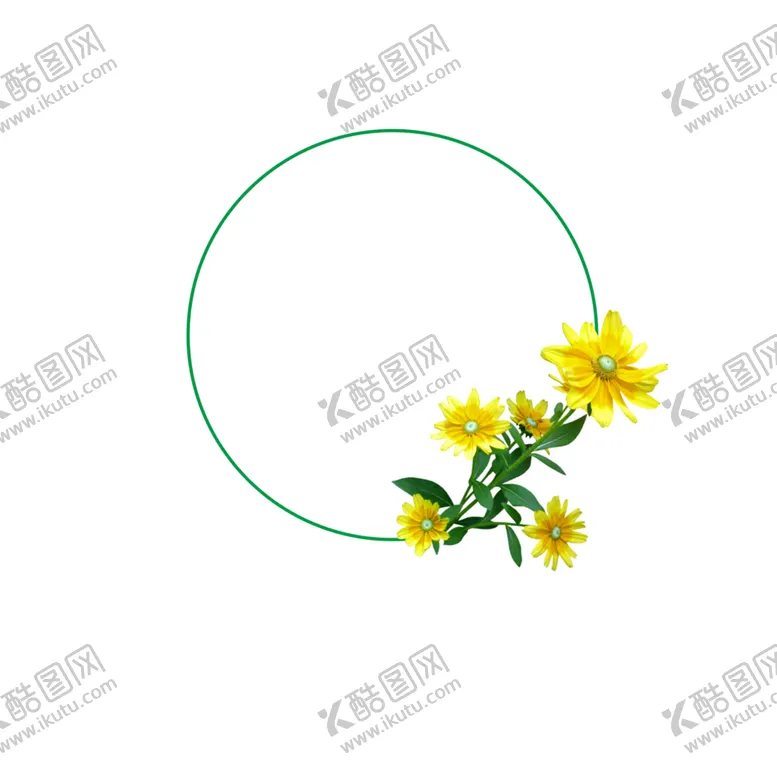 编号：79873407020718093219【酷图网】源文件下载-菊花素材