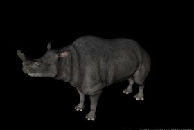 C4D恐龙模型