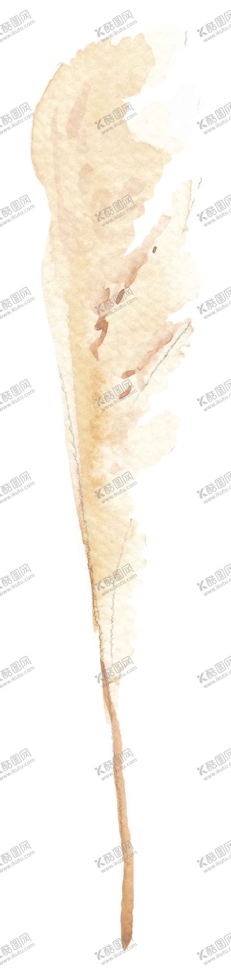 编号：81529009292030099431【酷图网】源文件下载-北欧小清新水彩植物图案