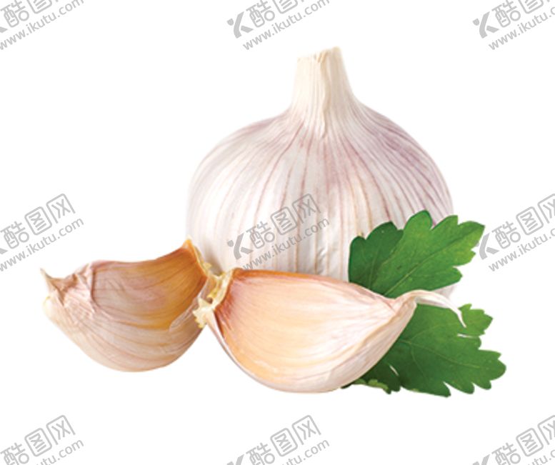 编号：40391510101233160843【酷图网】源文件下载-大蒜