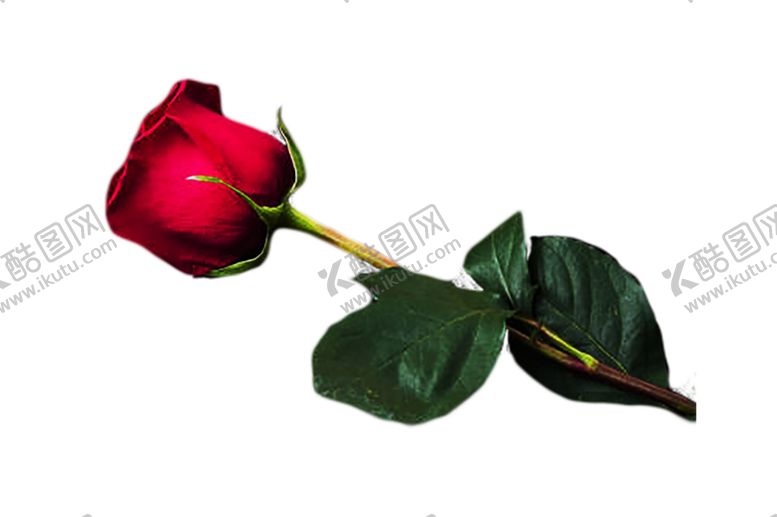 编号：93569609220615138390【酷图网】源文件下载-浪漫素材