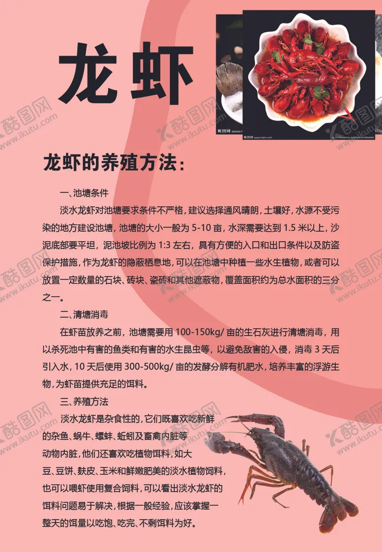编号：33374105012209187601【酷图网】源文件下载-龙虾