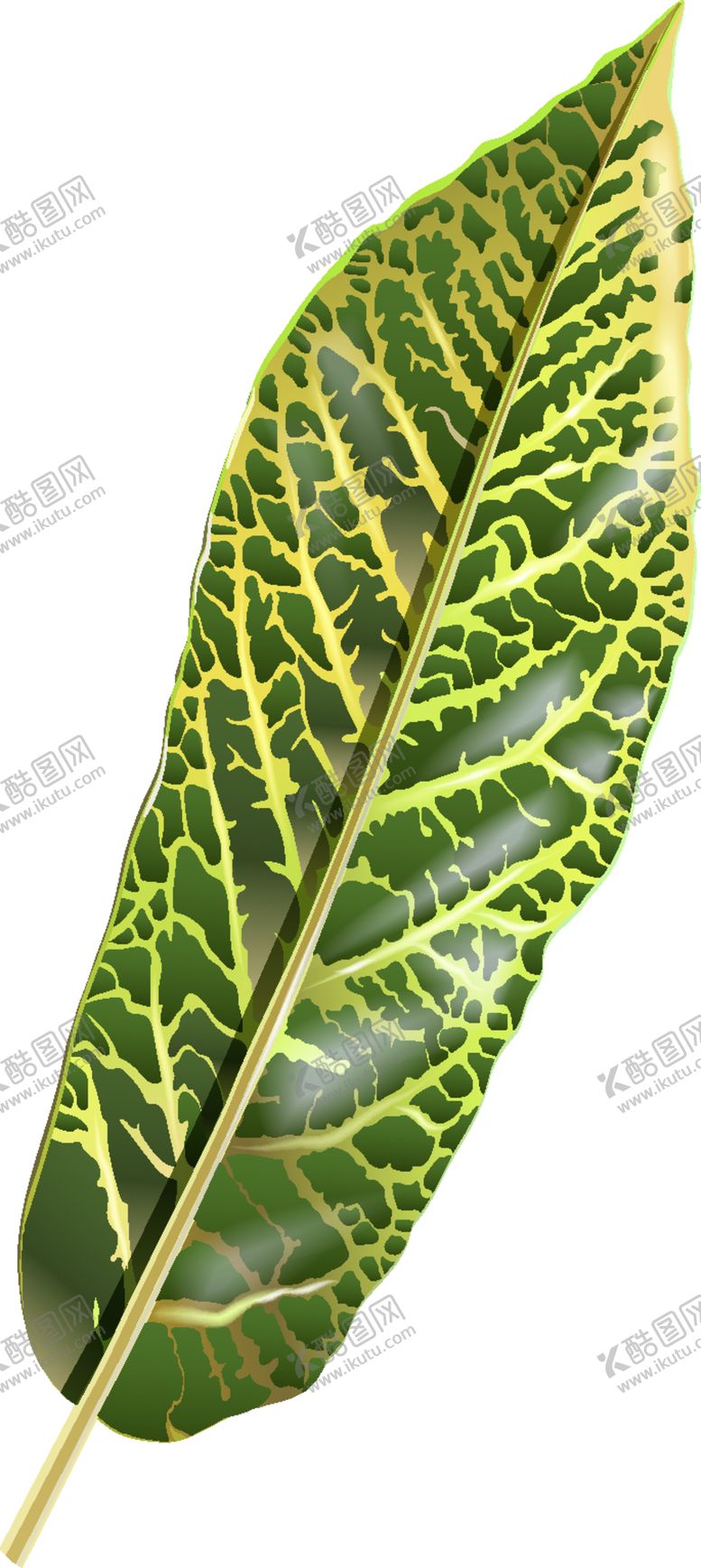编号：46239610030342209307【酷图网】源文件下载-热带叶