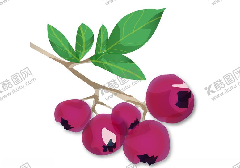 编号：64240209211740598555【酷图网】源文件下载-手绘蔓越莓