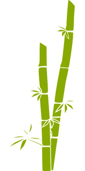 透明png竹子图片