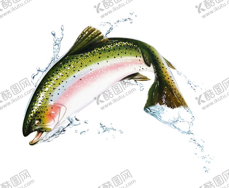 编号：84154009171457273188【酷图网】源文件下载-水花