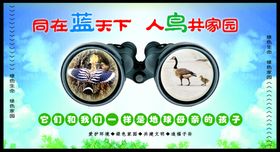 野生动物宣传图片