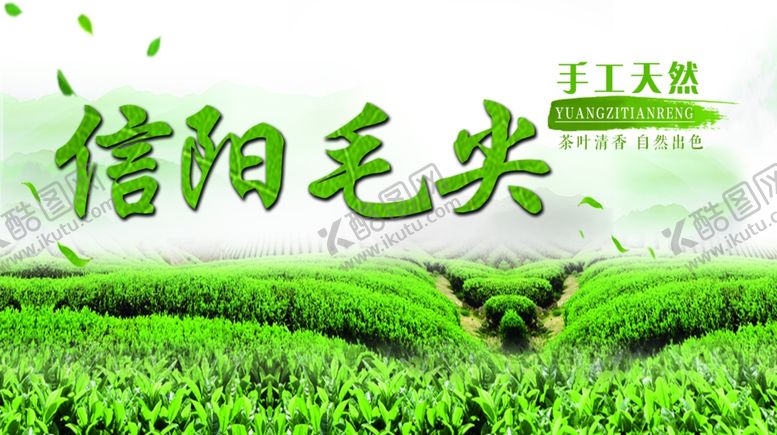 编号：46054906172016277234【酷图网】源文件下载-信阳毛尖